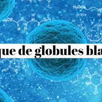 Comment augmenter les globules blancs par les plantes?