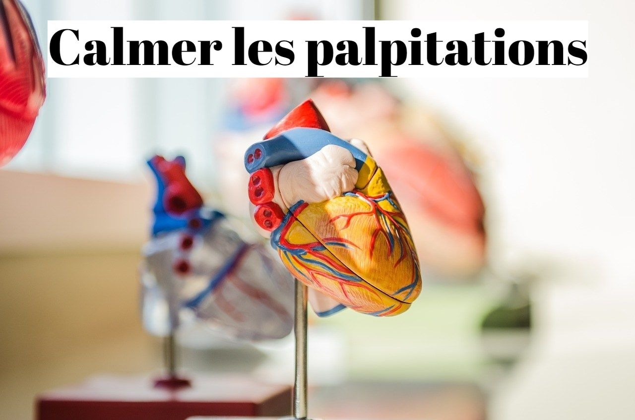 Comment calmer les palpitations du cœur naturellement?