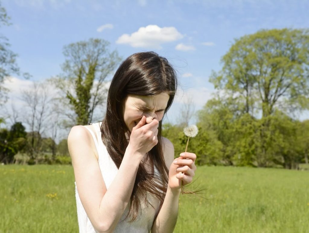 Allergie au pollen : comment lutter ?