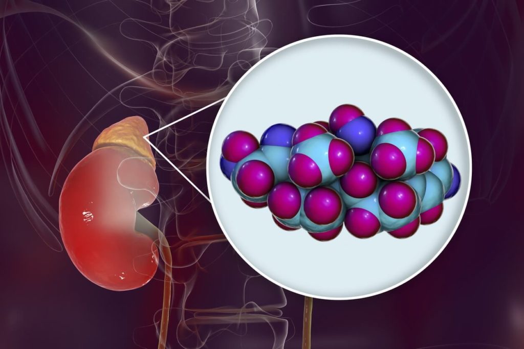 Comment faire baisser le cortisol naturellement ?